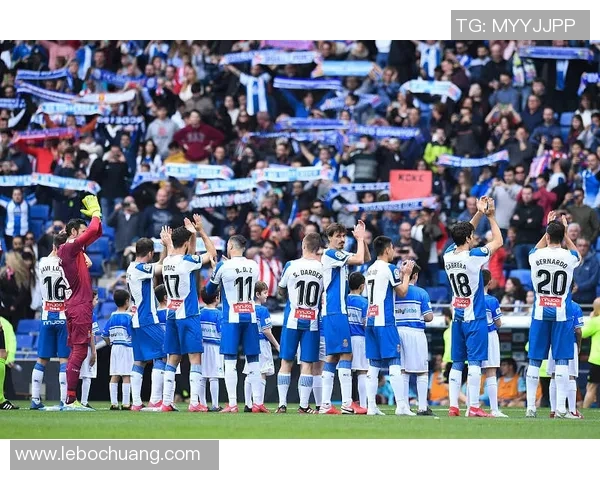 武汉排球队在洲际杯中的技术表现分析与未来发展展望